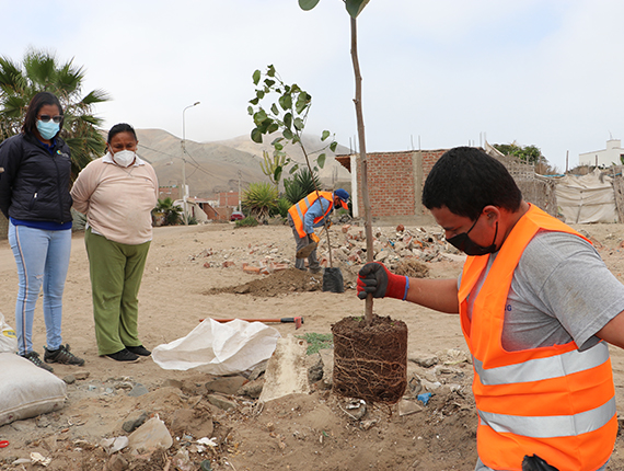 Proyecto Adopta un árbol de Fenix inicia cuarta etapa