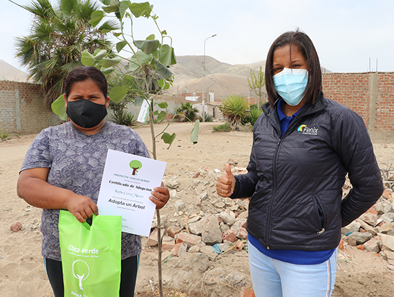 Proyecto Adopta un árbol de Fenix inicia cuarta etapa