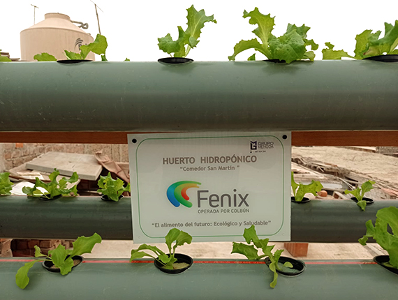 Fenix instala huertos hidropónicos en comedores populares de Chilca
