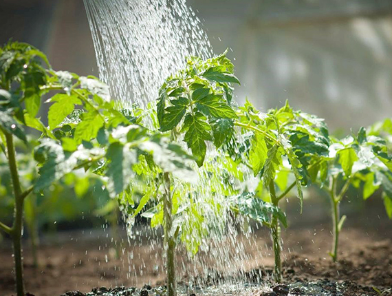 Fenix amplia capacidad de su planta de tratamiento de agua residual